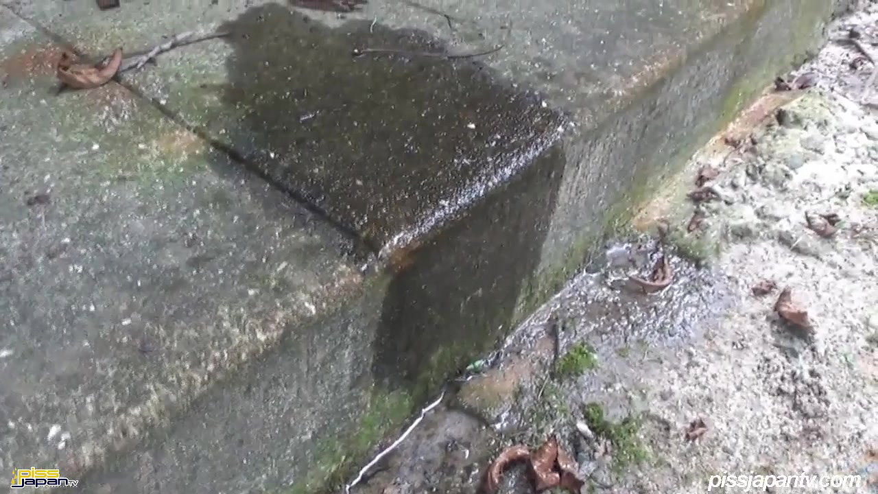 e Pee in the Park