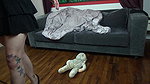 e Plushie