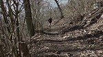 67163odland Pissing 701