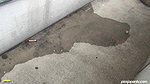 55102etty Girls Need a Piss Break