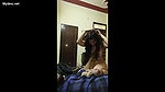 sexy indian girl romantic sex