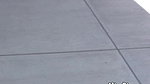 87Peeing in the Neighbors Yard