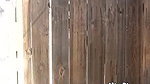 87Peeing in the Neighbors Yard