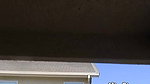 87Peeing in the Neighbors Yard