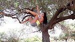 82Sapphira Tree of Lifepissing