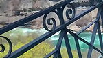 66XshayXshayX1 Nature Pee