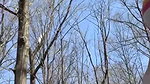 66XshayXshayX1 Nature Pee