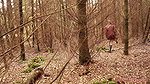 she is walking through the woods and pees with her