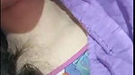 Myd PCG new chamet collection 452025315