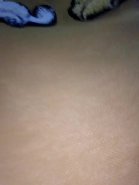 Stripchat Public Show f PUNAM456 2025 01 21 084645