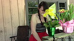 kotacharmsxxx sneezing pee desperation