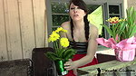 kotacharmsxxx sneezing pee desperation