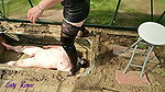 79MISTRESS LADY RENEE PISSING IN THE ASHTRAY