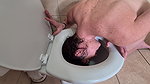 petitemia1 toilet self humiliation