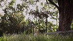 E BREAK 0138 BY EMMA E