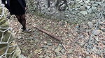 074Xena Highvoltage Take a Walk with Me sing Outdoors