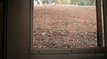 50PEE BREAK 0191 BY BOBBI J