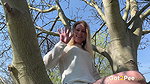 41Up In A Tree