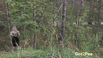 30Woodland Streams