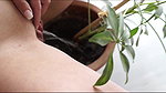 31Drunk Girl s IN Pot Flower