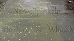 Weitpinkeln