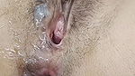 Pussy Licking