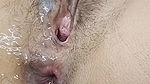 Pussy Licking