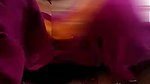Desi Bhabhi Shows her Pussy