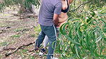Hot Indian Wife with Neighbour Uncle – Desi Milf Outdoor Love Making – Big Ass Licking – Boobs Press
