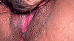 russian bhabhi pussy licking video