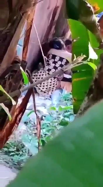 Myd pk telgram download video colection85202566