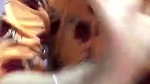 Bhabi boobs show