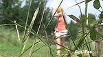 Above The Pond 1080p Got2pee Com