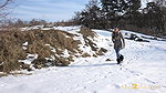 Among Tyres 1080p Got2Pee