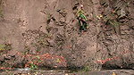 bbi j Pee Break 0134