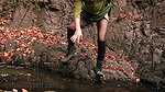 bbi j Pee Break 0134