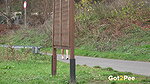Bench Pissing 1080p Got2Pee Com