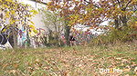 Blonde In The Suburbs 1080p Got2Pee