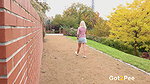Brick Steps 1080p Got2Pee mp4