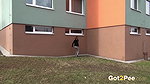 Bursting 1080p Got2pee Com