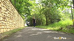 Edge Of The Path Got2Pee