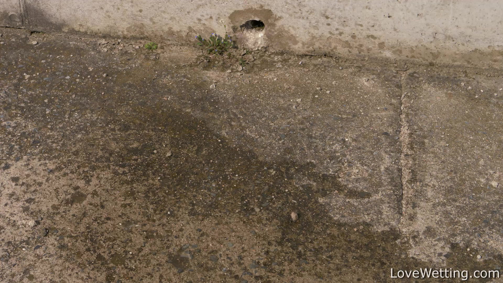 Frame 10