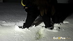 European Babe Squats In Deep Snow To Piss Got2pee
