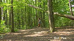 In The Clearing 1080p Got2Pee