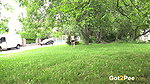 Leaning Back To Pee 1080p Got2Pee