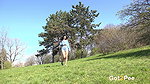 Legs Up High 1080p Got2Pee