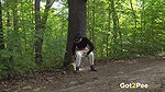 Letting Loose 1080p Got2Pee