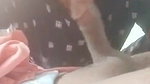 Showing boobs and giving blowjob to lover 4 clips