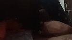 Showing boobs and giving blowjob to lover 4 clips