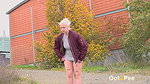 Middle Of The Suburbs 1080p Got2Pee